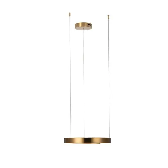 LOFT IT 10013S Подвесной светильник Ring, изображение 3