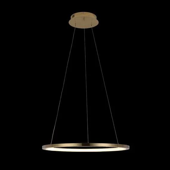 LOFT IT 10014M Подвесной светильник Ring, изображение 4