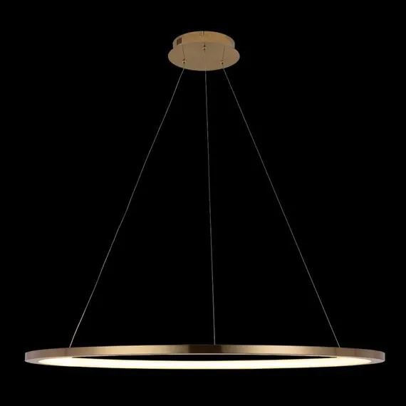 LOFT IT 10014XL Подвесной светильник Ring, изображение 2