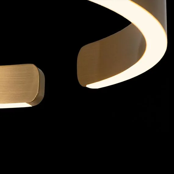 LOFT IT 10013S Подвесной светильник Ring, изображение 5