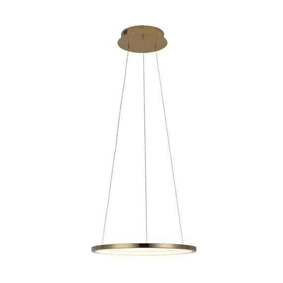 LOFT IT 10014S Подвесной светильник Ring, изображение 3