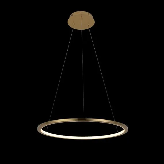 LOFT IT 10014M Подвесной светильник Ring, изображение 2