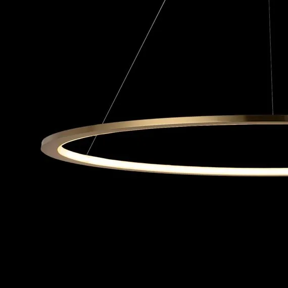 LOFT IT 10014XL Подвесной светильник Ring, изображение 6