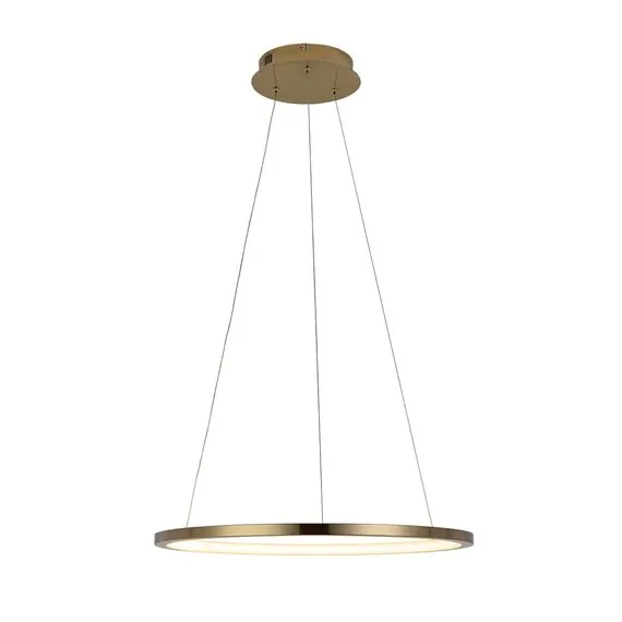 LOFT IT 10014M Подвесной светильник Ring, изображение 3