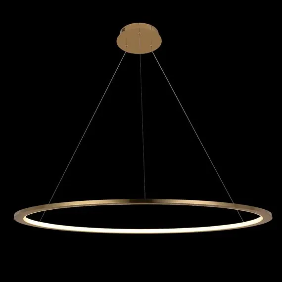 LOFT IT 10014L Подвесной светильник Ring, изображение 4