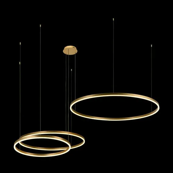 LOFT IT 10017/3L Подвесной светильник Ring, изображение 2