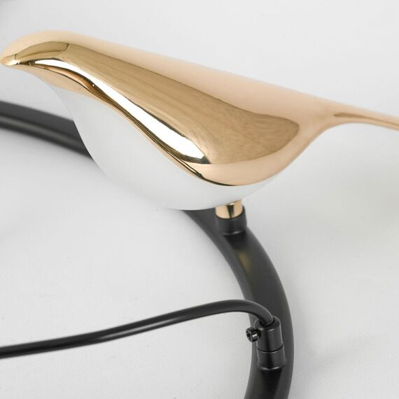 Lussole LSP-8641 Люстра, изображение 6