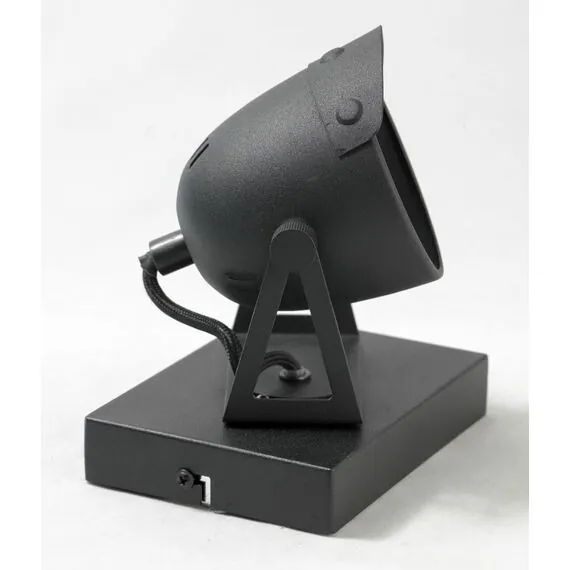 Lussole GRLSP-9505 Спот, изображение 4