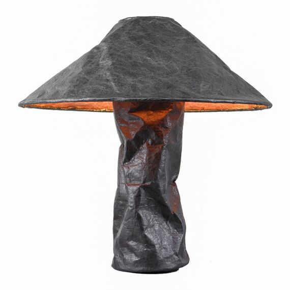 Lussole LSP-0823 Настольная лампа