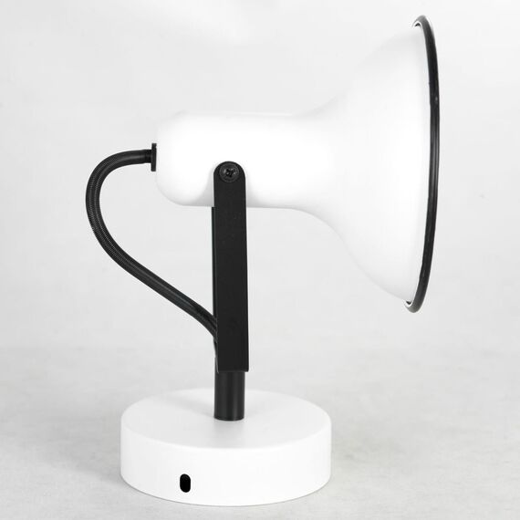 Lussole LSP-8801 Спотовый светильник, изображение 2