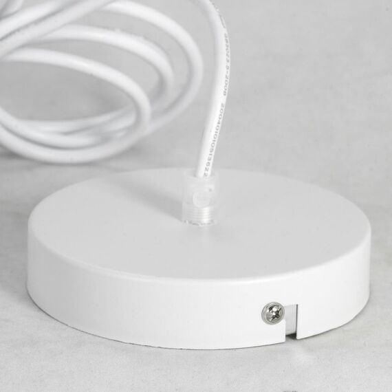 Lussole LSP-8220 Подвесной светильник Dove, изображение 6