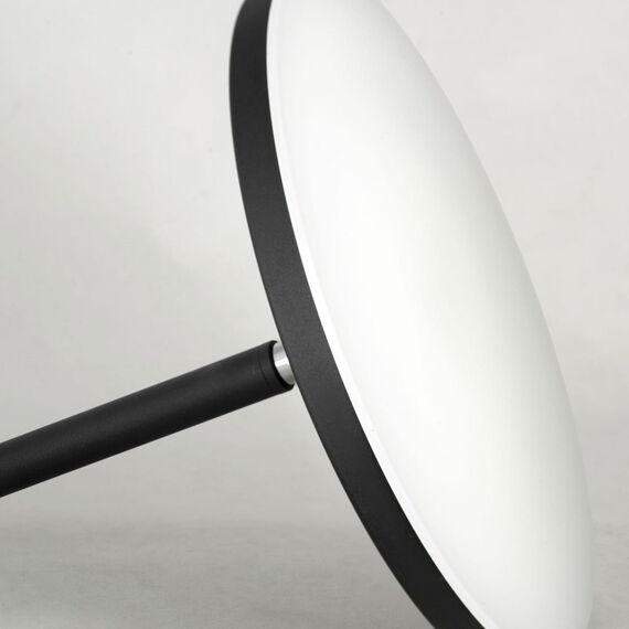 Lussole LSP-0901 Торшер, изображение 2