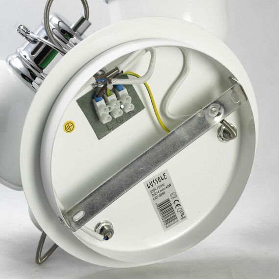 Lussole GRLSP-9956 Спот, изображение 4