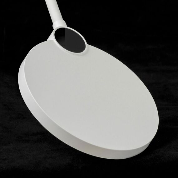 Lussole LSP-0919 Торшер, изображение 3