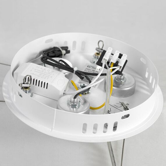 Lussole GRLSP-8602 Люстра, изображение 6