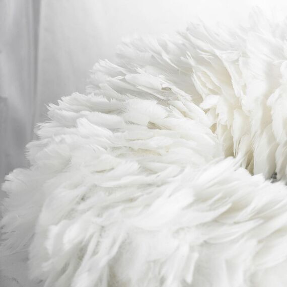 Lussole GRLSP-8602 Люстра, изображение 2