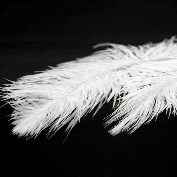 Lussole LSP-8600 Люстра, изображение 2