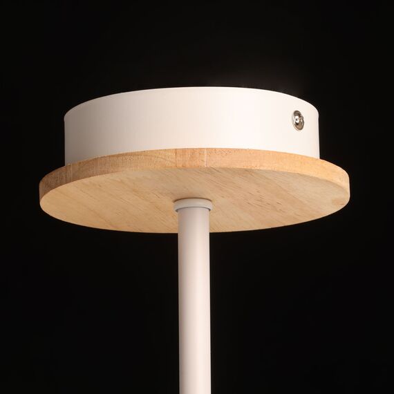 De City 635015003 Люстра потолочная Dela, изображение 9