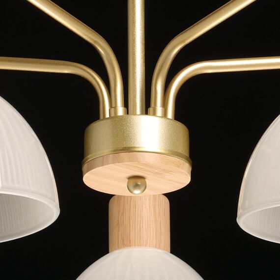 De City 635016405 Люстра потолочная Dela, изображение 8