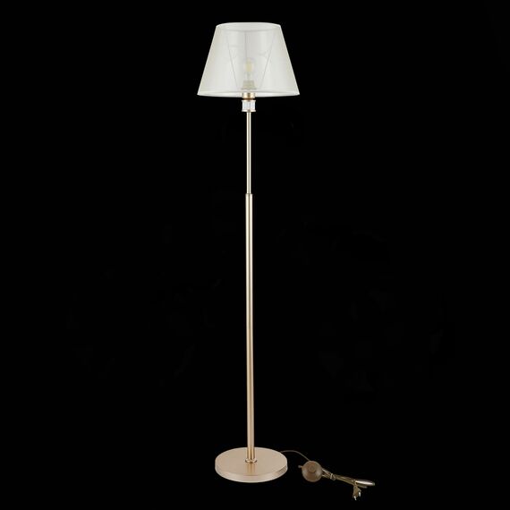 EVOLUCE SLE107505-01 Светильник напольный Золотистый/Шампань E27 1*60W MANILA, изображение 5