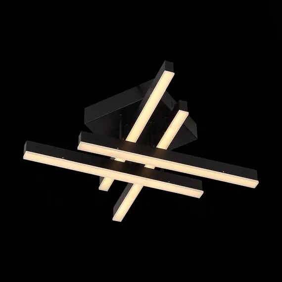 ST LUCE SL933.402.04 Люстра потолочная ST-Luce Черный/Черный, Белый LED 1*22W 3000K/4000K/6000K, изображение 4