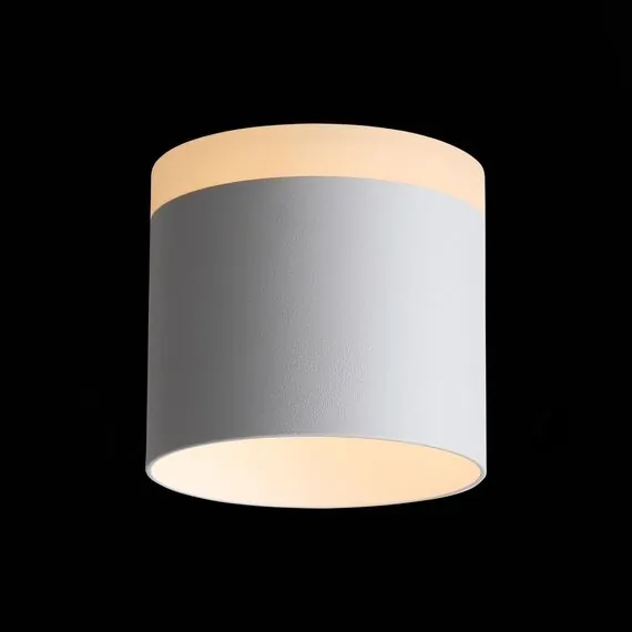 ST LUCE ST102.502.12 Светильник потолочный Белый LED 1*12W 3000K 936Lm Ra>80 120° IP20 D100xH90 170-240V, изображение 5