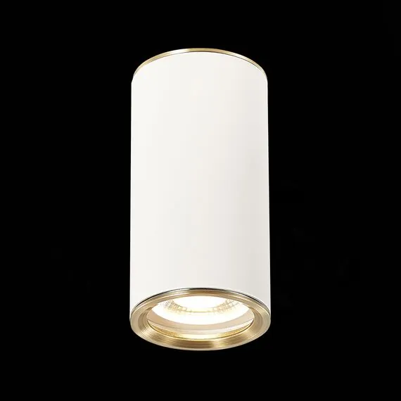 ST LUCE ST111.537.01 Светильник потолочный Белый GU10 1*50W D54xH105 220V Без ламп, изображение 4