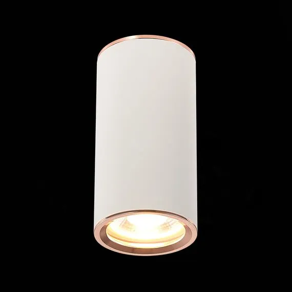 ST LUCE ST111.527.01 Светильник потолочный Белый GU10 1*50W D54xH105 220V Без ламп, изображение 3