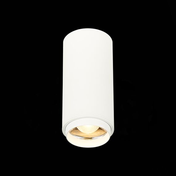 ST LUCE ST600.532.10 Светильник потолочный Zoom Белый LED 1*10W 3000K 1 000Lm Ra>80 15-60° IP20 D59xH130 170, изображение 4