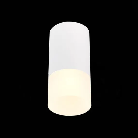 ST LUCE ST100.512.01 Светильник потолочный Белый GU10 1*50W IP20 D64xH131 220V Без ламп, изображение 5