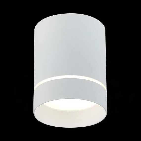 ST LUCE ST115.542.12 Светильник потолочный Белый LED 1*12W 4000K 840Lm Ra>90 120° IP20 D79xH100 170-240V, изображение 3