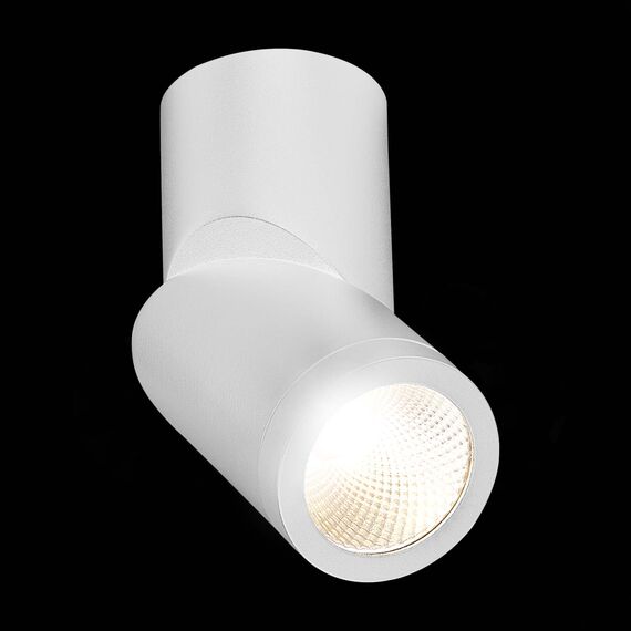 ST LUCE ST650.542.10 Светильник потолочный Белый LED 1*10W 4000K 800Lm Ra>90 38° IP44 D62xH151 165-265V, изображение 4