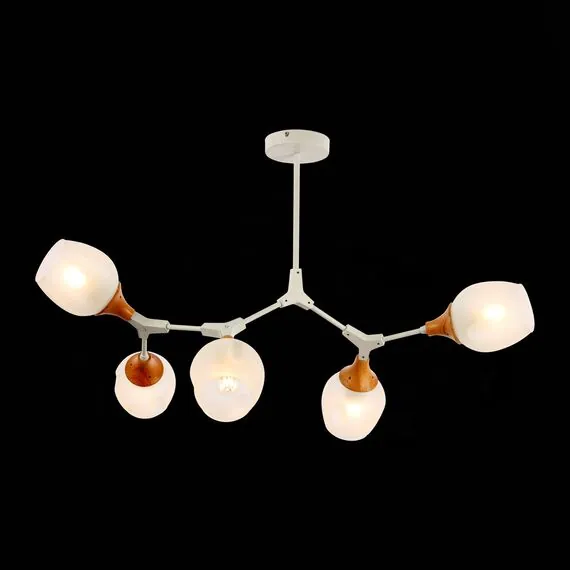 EVOLUCE SLE113502-05 Светильник потолочный Белый, Светлое дерево/Белый E27 5*60W, изображение 3