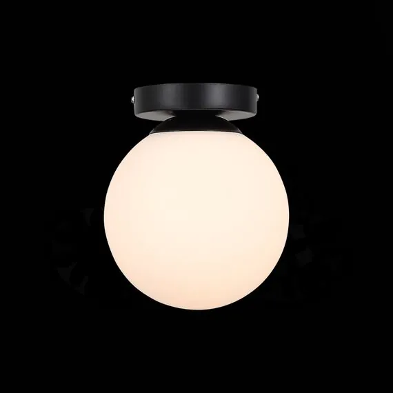 EVOLUCE SL717.401.01 Светильник настенный Черный/Белый E27 1*40W, изображение 4