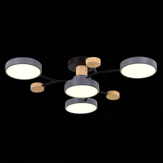 EVOLUCE SLE6006-702-04 Светильник потолочный Серый/Серый LED 4*12W 3000K/4500K/6000K, изображение 3