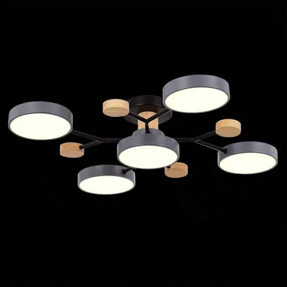 EVOLUCE SLE6006-702-05 Светильник потолочный Серый/Серый LED 5*12W 3000K/4500K/6000K, изображение 3