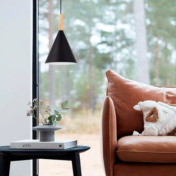 EVOLUCE SLE1255-403-01 Светильник подвесной Черный/Черный E27 1*40W, изображение 4