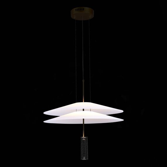 ST LUCE SL6101.403.01 Люстра подвесная ST-Luce Черный/Белый LED 1*15W 3000K, изображение 6