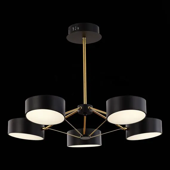 EVOLUCE SLE6005-402-05 Светильник потолочный Черный, Золотистый/Черный LED 5*10W, изображение 5