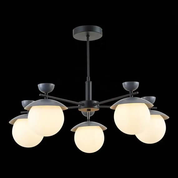 EVOLUCE SLE220202-05 Светильник потолочный Черный, Серый/Белый G9 5*5W, изображение 5