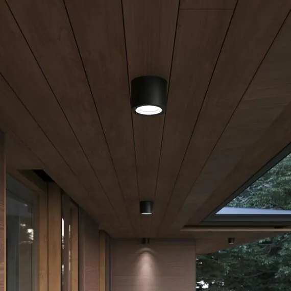 ST LUCE SL9006.402.01 Светильник уличный потолочный ST-Luce черный/белый GX53 1*9W, изображение 3