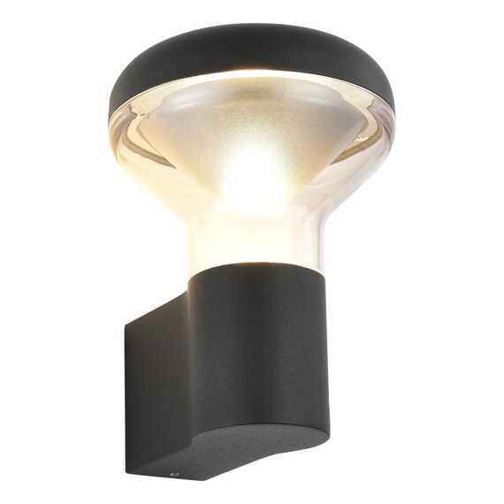 ST LUCE SL9541.701.01 Светильник настенный ST-Luce темно-серый/прозрачный LED 1*6W 3000K, изображение 3
