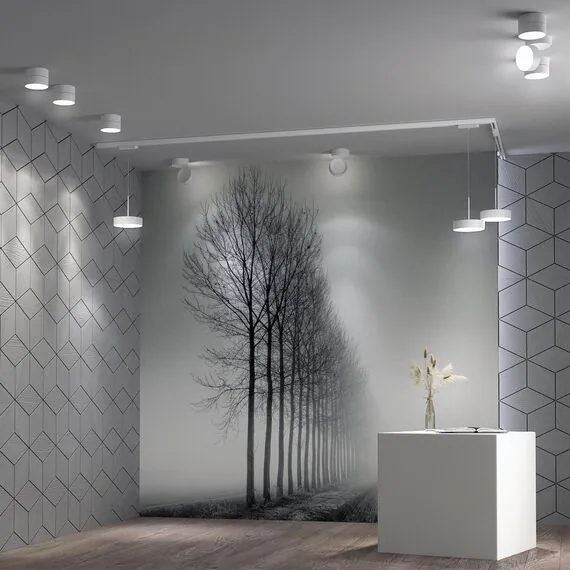 NOVOTECH 358767 PORT NT21 104 белый Светильник трековый однофазный трехжильный, провод 1.2м IP20 LED 30W 4000K 2600Лм 100-265V PROMETA, изображение 3