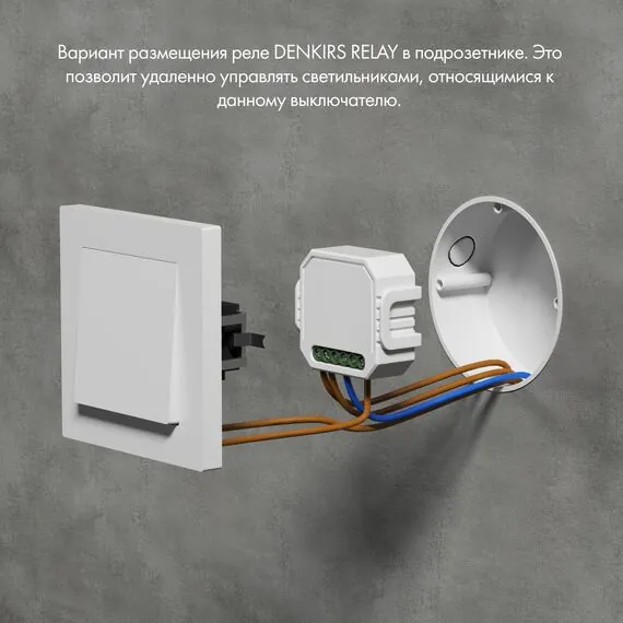 Denkirs RL1001-SM/1 Одноканальное Wi-Fi реле-выключатель 1 x 2300 Вт / 250 Вт для LED, изображение 4