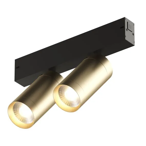 Denkirs DK8012-BG Акцентный светильник SMART SPOT DOUBLE 2x9W DIM 3000K-6000K, матовое золото с черным, изображение 2