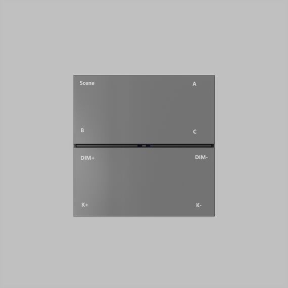 Denkirs DK7201-DG Накладная настенная панель управления для светильников Air 3000-5000K, серия Control, IP20, CR2032 3V x 2, темно-серый, пластик