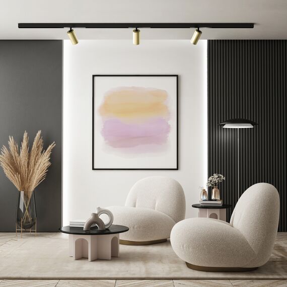 Denkirs DK8020-BG Акцентный светильник SMART SPOT 20W DIM 3000K-6000K, матовое золото с черным, изображение 3