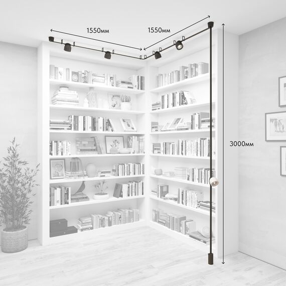 Denkirs Комплект ременной трековой системы Belty, изображение 3