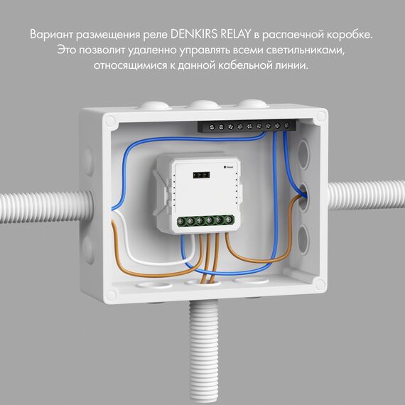 Denkirs RL1003-DM Одноканальное Wi-Fi реле-диммер 1 x 200 Вт, изображение 2