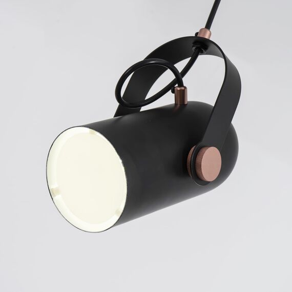 Favourite 2007-1P, подвес, L125xW90xH215/1215, 1xE14x40W, excluded, изображение 6